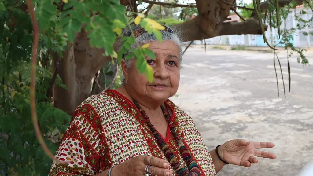 #5Ago

🌿 "¿Sabías que en Venezuela crece la farmacia más antigua del mundo? 

Emilia Vásquez, discípula del legendario Keshava Bhat, revela cómo el monte que pisamos puede ser nuestra mejor medicina.

✍️ Alejandro Silva Guevara  
📸 Abraxas Iribarren

📰lainventadera.com/2025/05/10/her…