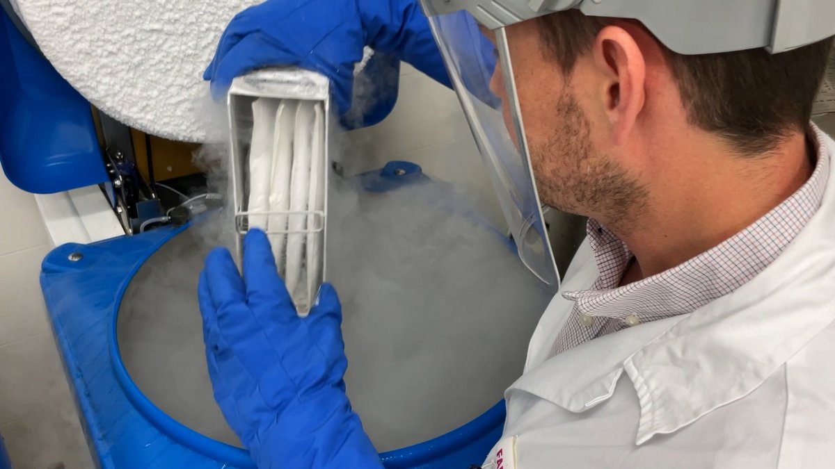 HospitalLaFe (@hospitallafe) on Twitter photo 🧬 El Hospital La Fe incorpora una nueva terapia #CAR-T para tratar #MielomaMúltiple en pacientes refractarios, lo que amplia su arsenal terapéutico y refuerza su liderazgo en terapias avanzadas
🔗lafe.san.gva.es/es/-/nueva-car…
#SomosLaFe #TerapiasAvanzadas <a href="/GVAsanitat/">GVA Sanitat</a> 🧬 El Hospital La Fe incorpora una nueva terapia #CAR-T para tratar #MielomaMúltiple en pacientes refractarios, lo que amplia su arsenal terapéutico y refuerza su liderazgo en terapias avanzadas
🔗lafe.san.gva.es/es/-/nueva-car…
#SomosLaFe #TerapiasAvanzadas <a href="/GVAsanitat/">GVA Sanitat</a>