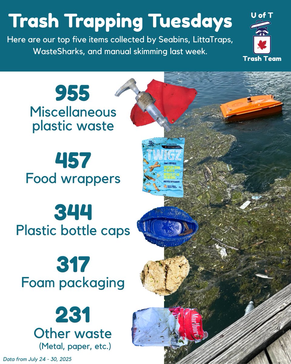 UofTTrashTeam's tweet photo. Life in #Plastic, not so fantastic?! In last week's #FightingFloatablesTO finds, alongside #FoodWrappers and #Foam, we discovered a Barbie mirror floating in the #Toronto harbour. At least the team could check they were looking their best while sorting through all that trash! https://t.co/owmO1RW778