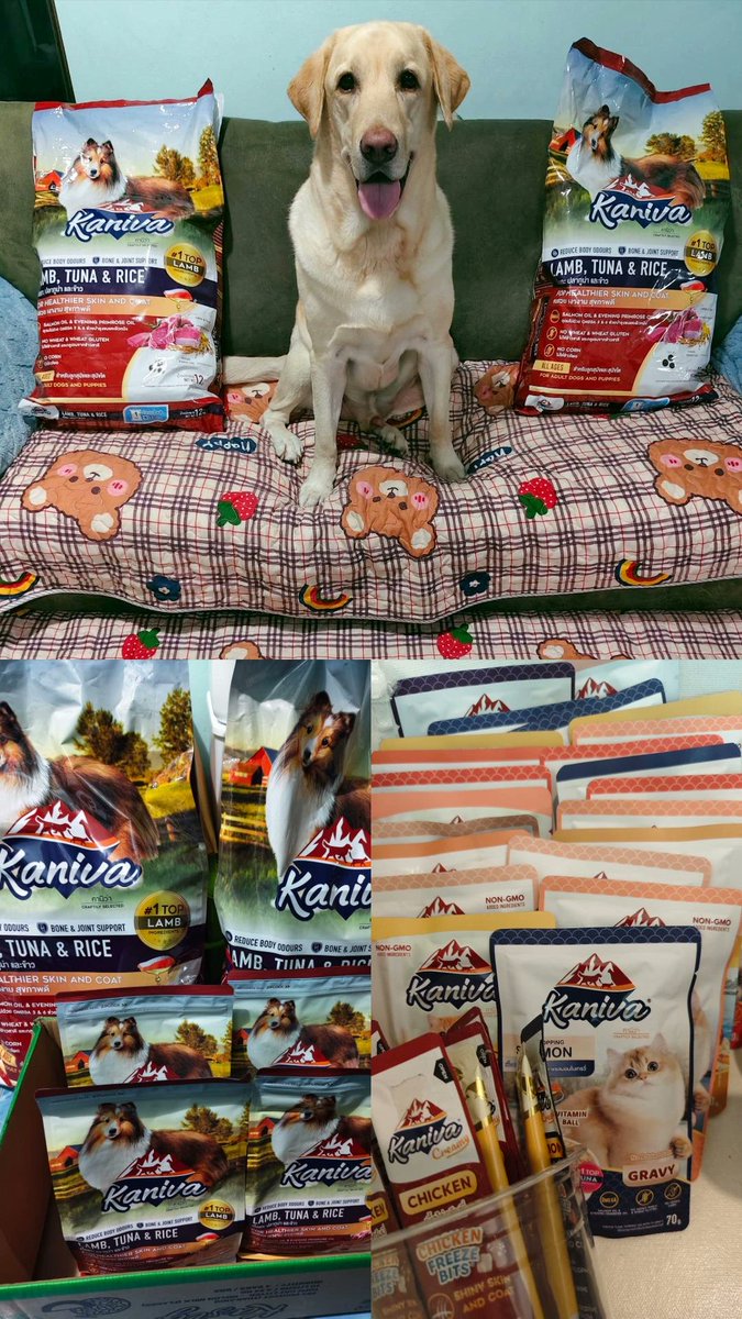 เมื่อคุณมีแม่เป็นติ่งBUS 555 มรดกตกทอด
#BUSbecauseofyouishine