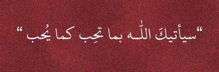 *من ترك أمره لله ما ضاع ولا خُذل 🤍.*