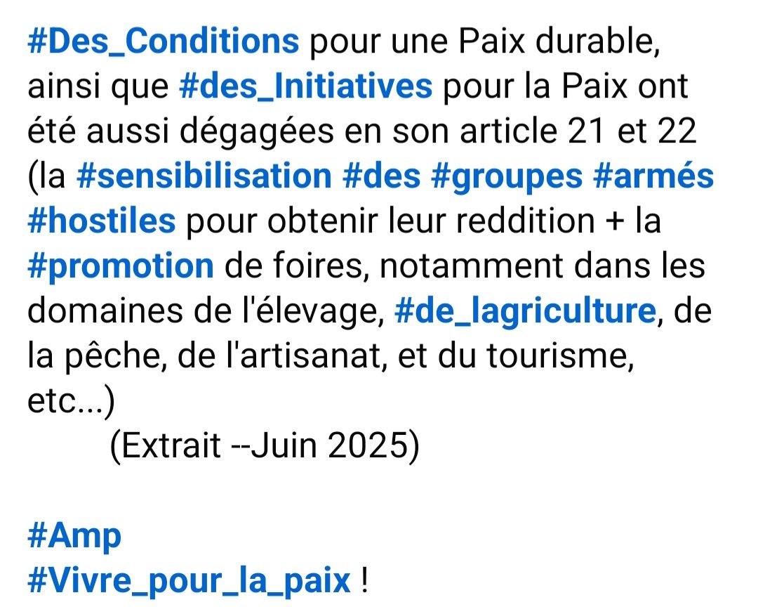 amp_mali's tweet photo. Mali //Charte Nat pour la Paix et la Réconciliation Nationale --Juin 2025. https://t.co/g7ObirWjMe