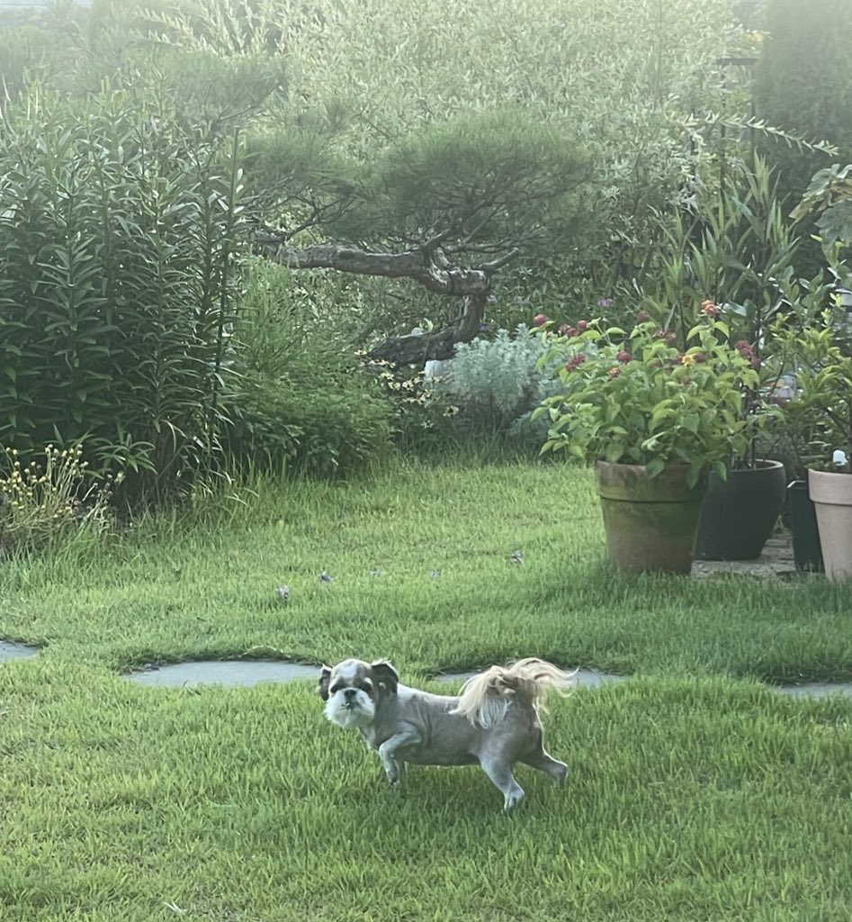 몽룡이 너 아기토끼 출신이었니?