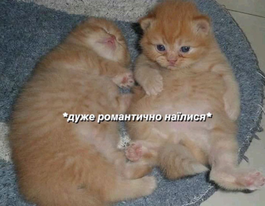 Cimmerian (@gruzovoi3) on Twitter photo 