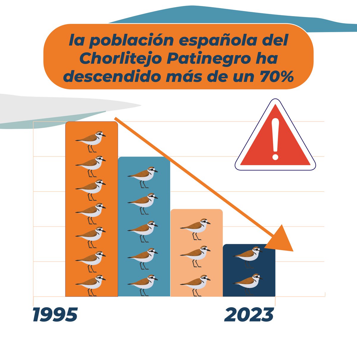 📉 ¿Sabías que el Chorlitejo Patinegro ha perdido +70% de su población en España desde 1995?
🌊 Urbanización, turismo y cambio climático lo están dejando sin playas.
💡 ¡Aún estamos a tiempo!
 ✔️ Respeta las zonas acordonadas
 ✔️ No lleves perros
 ✔️ Difunde
#IBERALEX #Chorlitejo