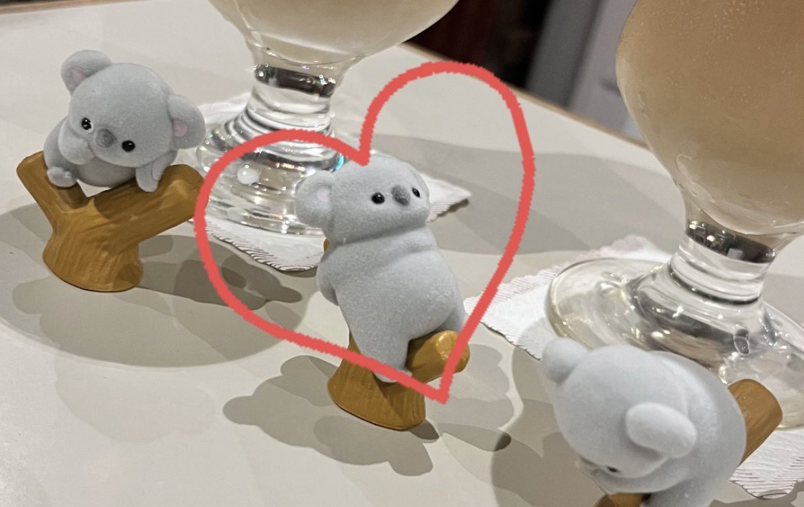 みてー！ついにぼすをげっとした🐨まめが当ててくれた🐨🍼
ジュンギュすぎるやろこいつ😻😻かあいい