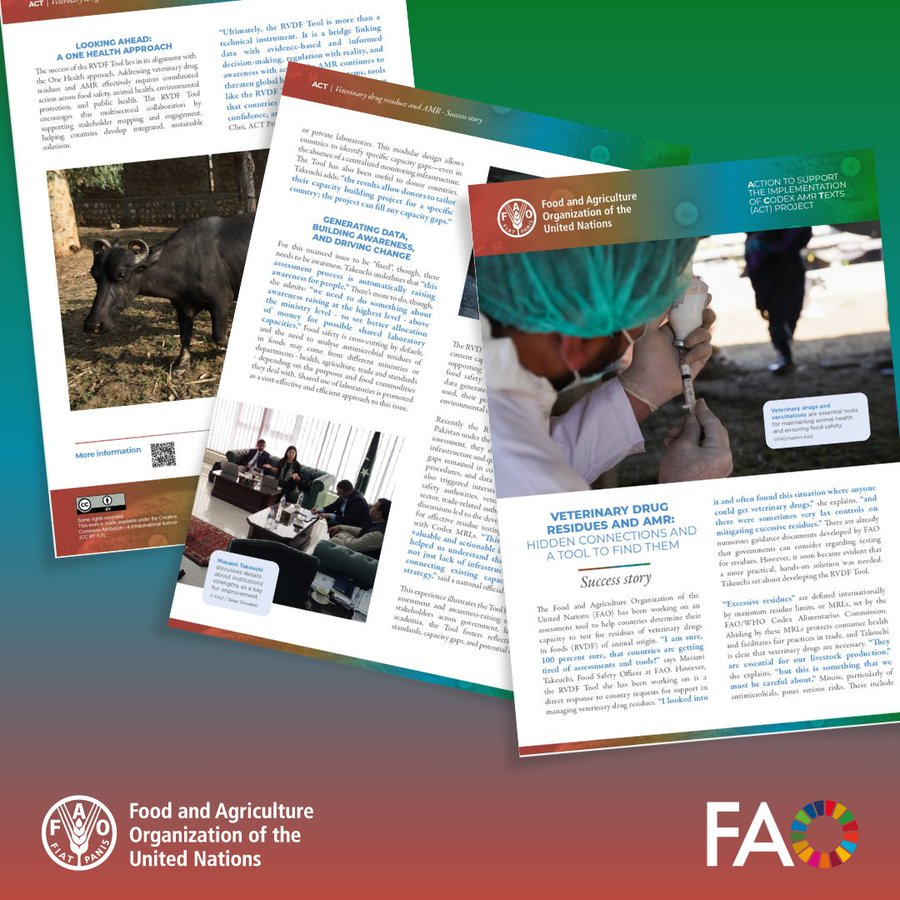 Codex Alimentarius (@faowhocodex) on Twitter photo ⏮️ | #ICYMI | <a href="/FAO/">Food and Agriculture Organization</a> has developed a 🆕 tool to support countries, especially low- and middle-income countries, in tackling the growing challenge of #AMR by improving how they monitor veterinary drug residues in food.
➕ℹ️➡️ bit.ly/45581eE
#FoodSafety | #TBThursday ⏮️ | #ICYMI | <a href="/FAO/">Food and Agriculture Organization</a> has developed a 🆕 tool to support countries, especially low- and middle-income countries, in tackling the growing challenge of #AMR by improving how they monitor veterinary drug residues in food.
➕ℹ️➡️ bit.ly/45581eE
#FoodSafety | #TBThursday