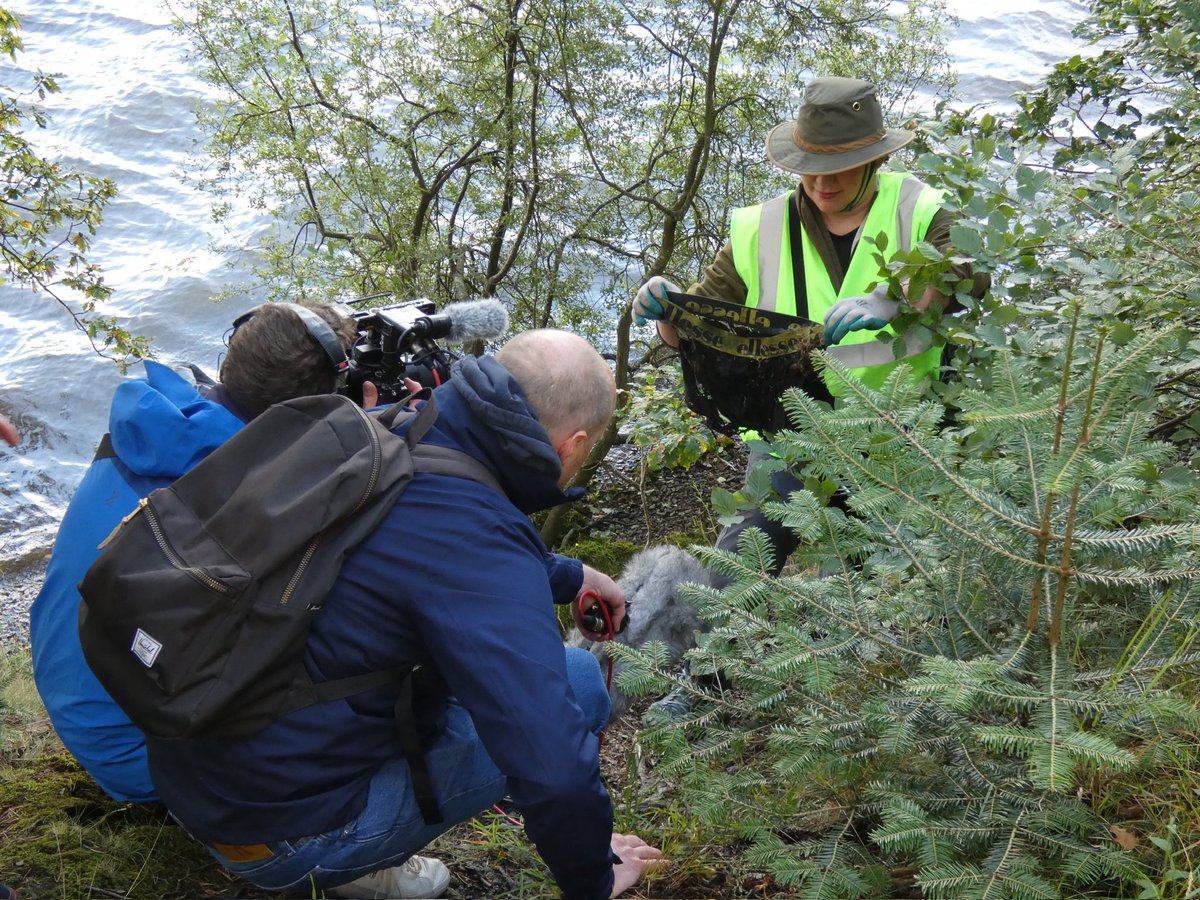 Out with the “Binfluencers” and influencers this morning #Derwentwater trying to help. If you want to know more try this Facebook group facebook.com/groups/6048918… Thanks to Annie Garforth for her leadership.   #BinIt “We’ve got pants” 🩲