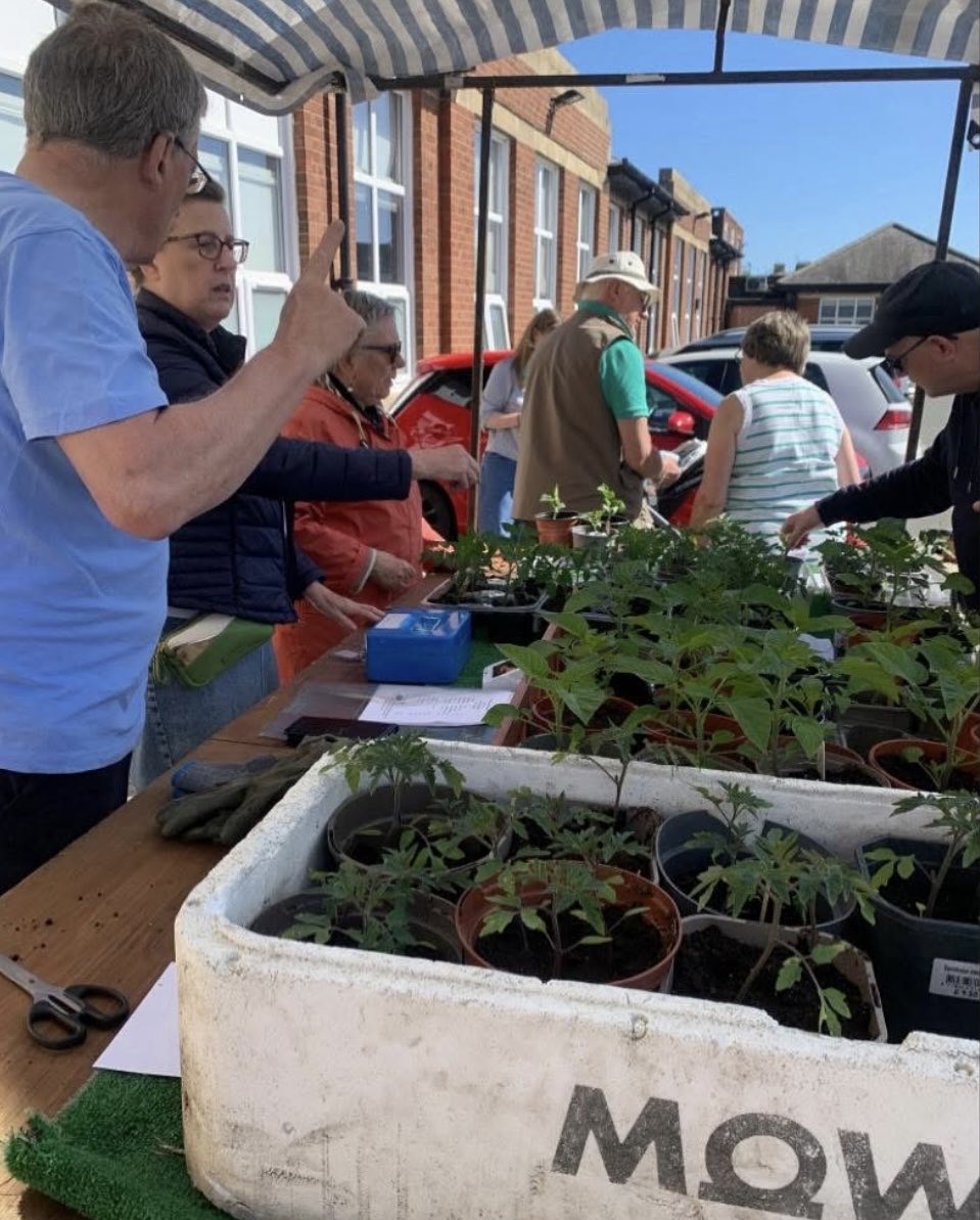 Old Low Light 💙 tweet media