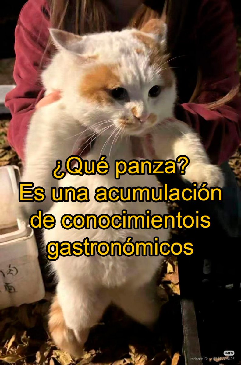 STREAM ON !!

➡️ Estrenamos NUEVA GRAFICA
➡️ Seguimos subiendo ELO

Algun cabezon pone linkaso