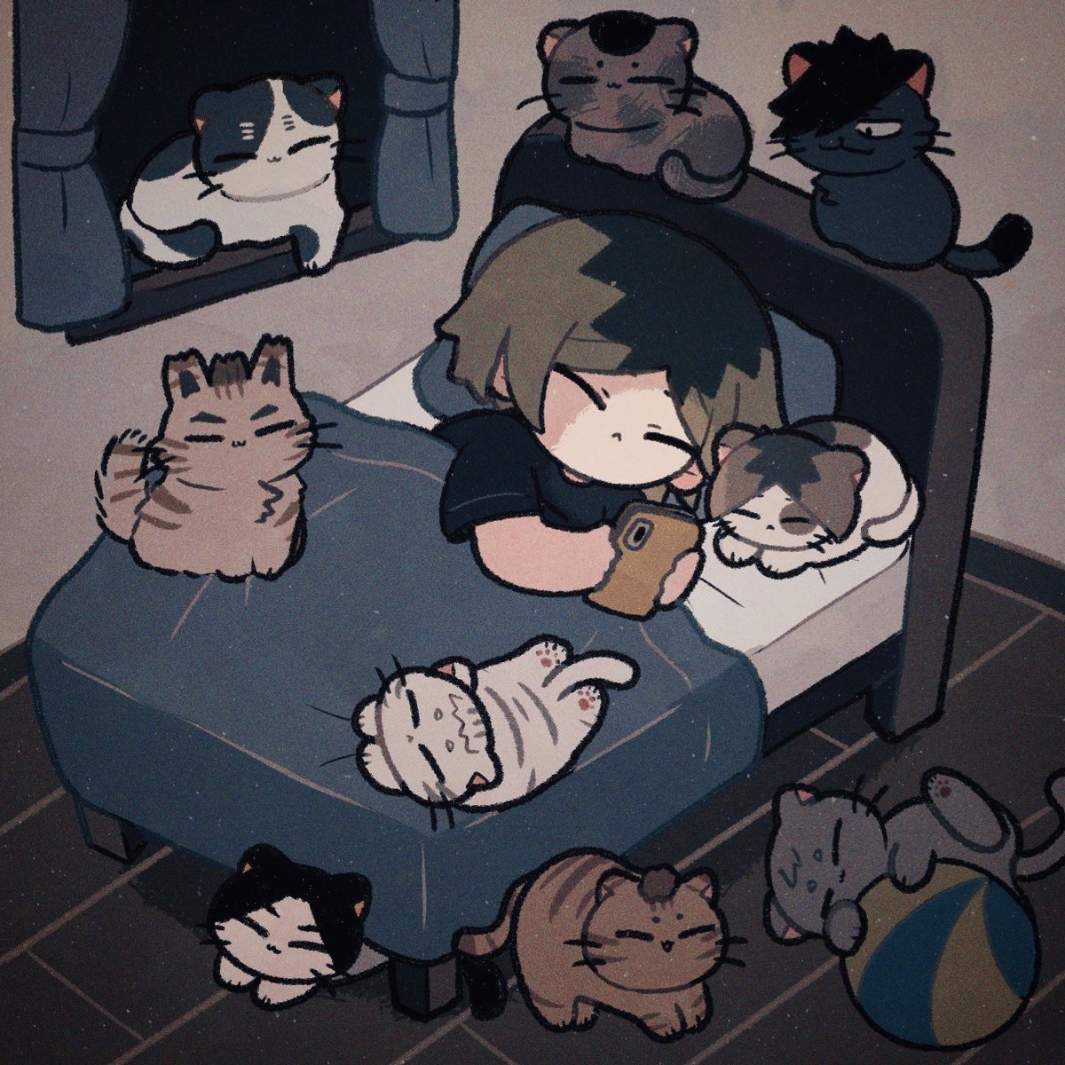 🐈💤