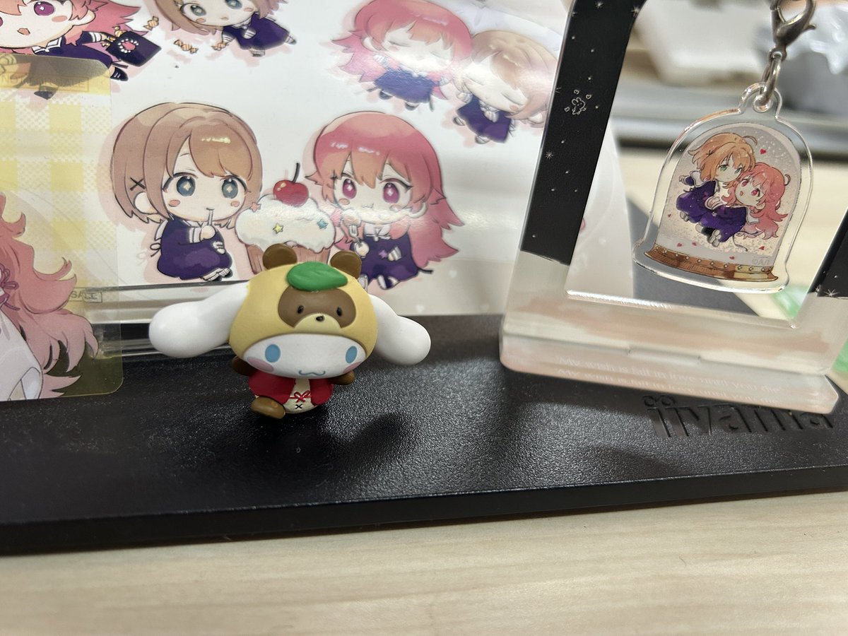 朝、出社したらシナモンいました笑