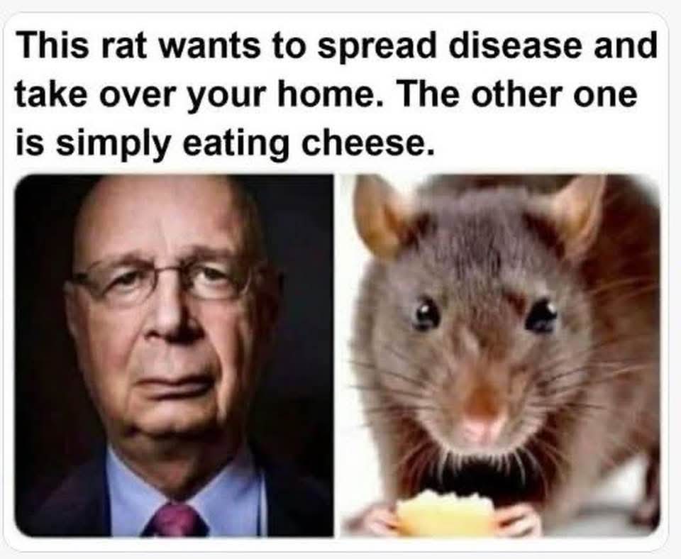 The WEF is a terrorist organization.