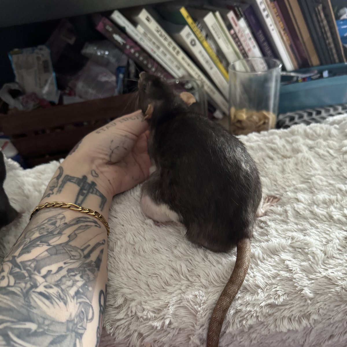 It’s floras last day with us.. what should we spoil her with? ❤️‍🩹