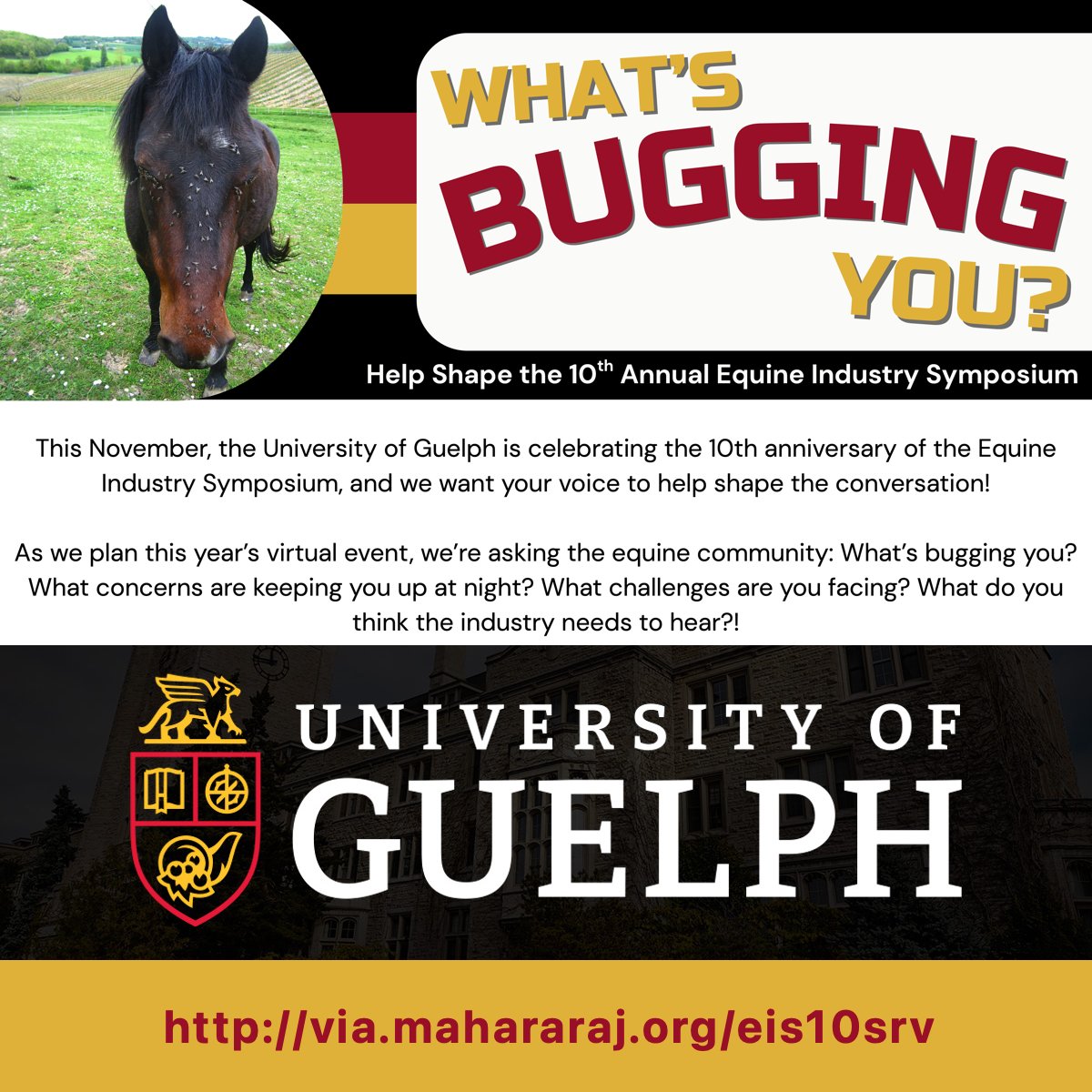 In November, @UofG will host its tenth-anniversary Equine Industry Symposium.

I have been delighted to volunteer with the students and faculty over the decade, as they have summoned Canada’s horsepeople together, overcoming our infamous intransigence to build common cause.

This