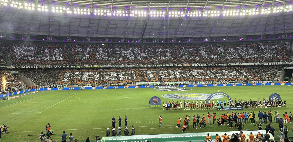 Se você viu essa imagem e entendeu como afronta, provocação, xenofobia ou como obrigação de torcer por um time local, sinto muito lhe dizer, mas você entendeu tudo errado!

Isso aqui foi exatamente o contrário, foi um grito de afirmação: EU TENHO UM CLUBE PARA TORCER, fique aí e