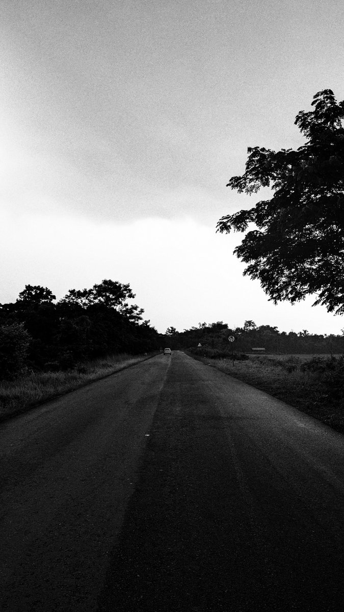 पहले वह मेरी राह से ग़ायब हुआ, फिर भाषा से और अंत में, स्मृति से भी।