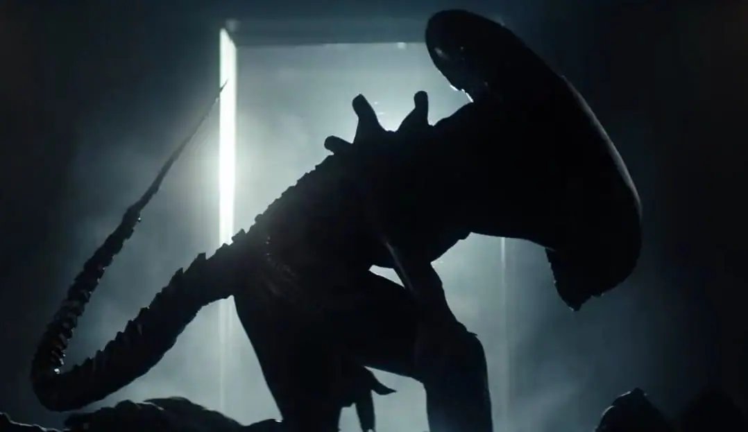 ALIEN: PLANETA TIERRA ignorará PROMETHEUS, ALIEN: COVENANT y ALIEN: ROMULUS. En este canon, el David de Michael Fassbender nunca fue creado y Peter Weyland nunca buscó a los Ingenieros.

La serie estará disponible en Disney+ a partir del 13 de agosto.