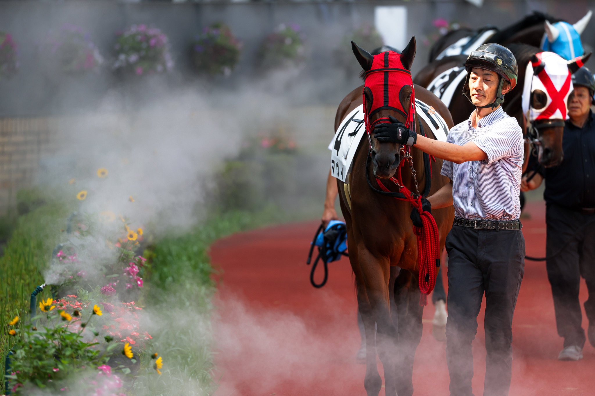 ミュージアムマイル メイクデビュー中京～弥生賞 全５戦 現地単勝馬券♪ 2歳新馬/シックスペンス】メイクデビュー中山［2023.9.10 中山第