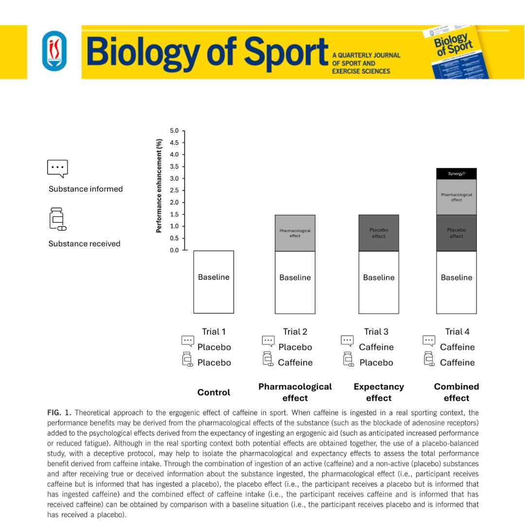 Biology of Sport tweet media