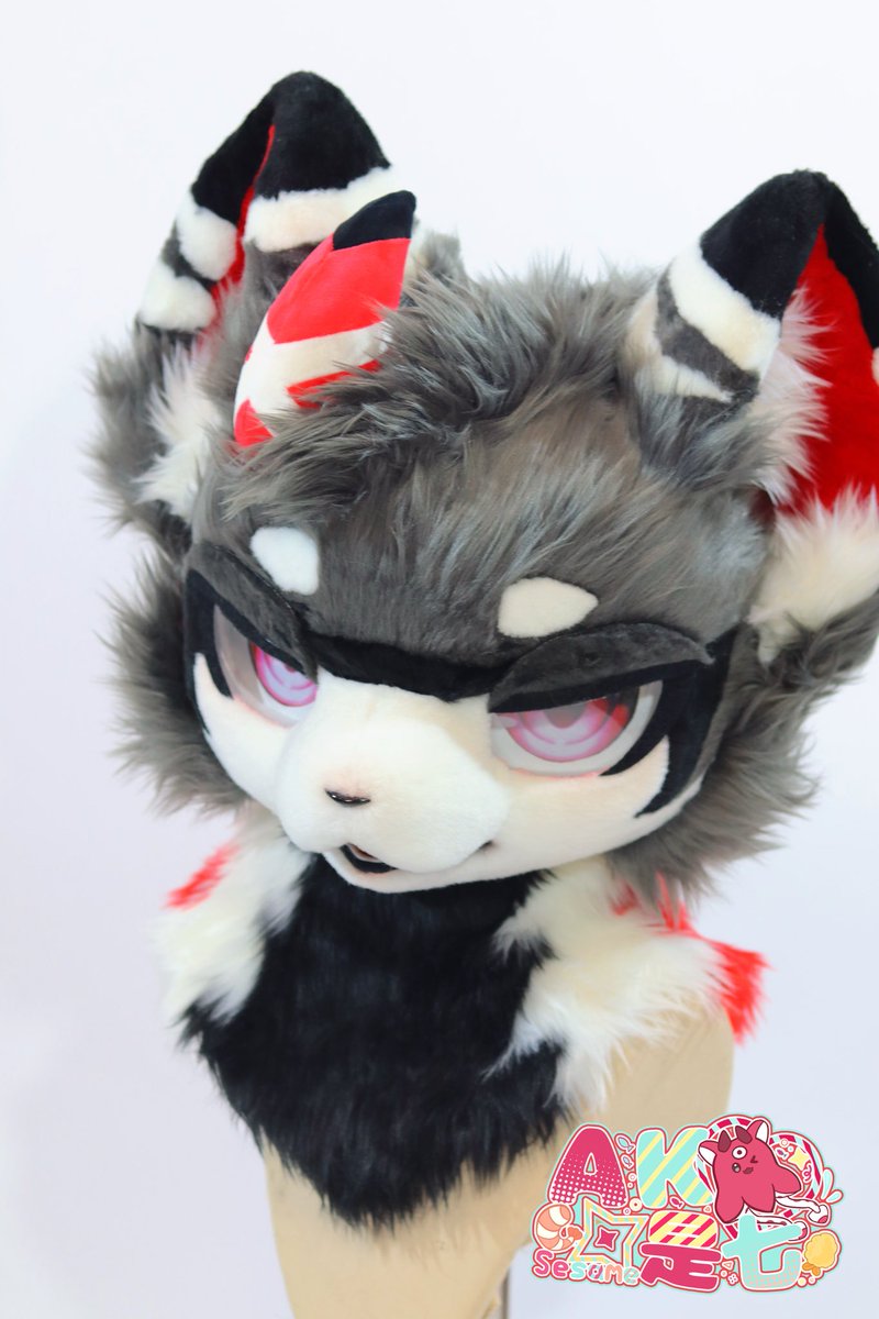 A very fierce cat🐱