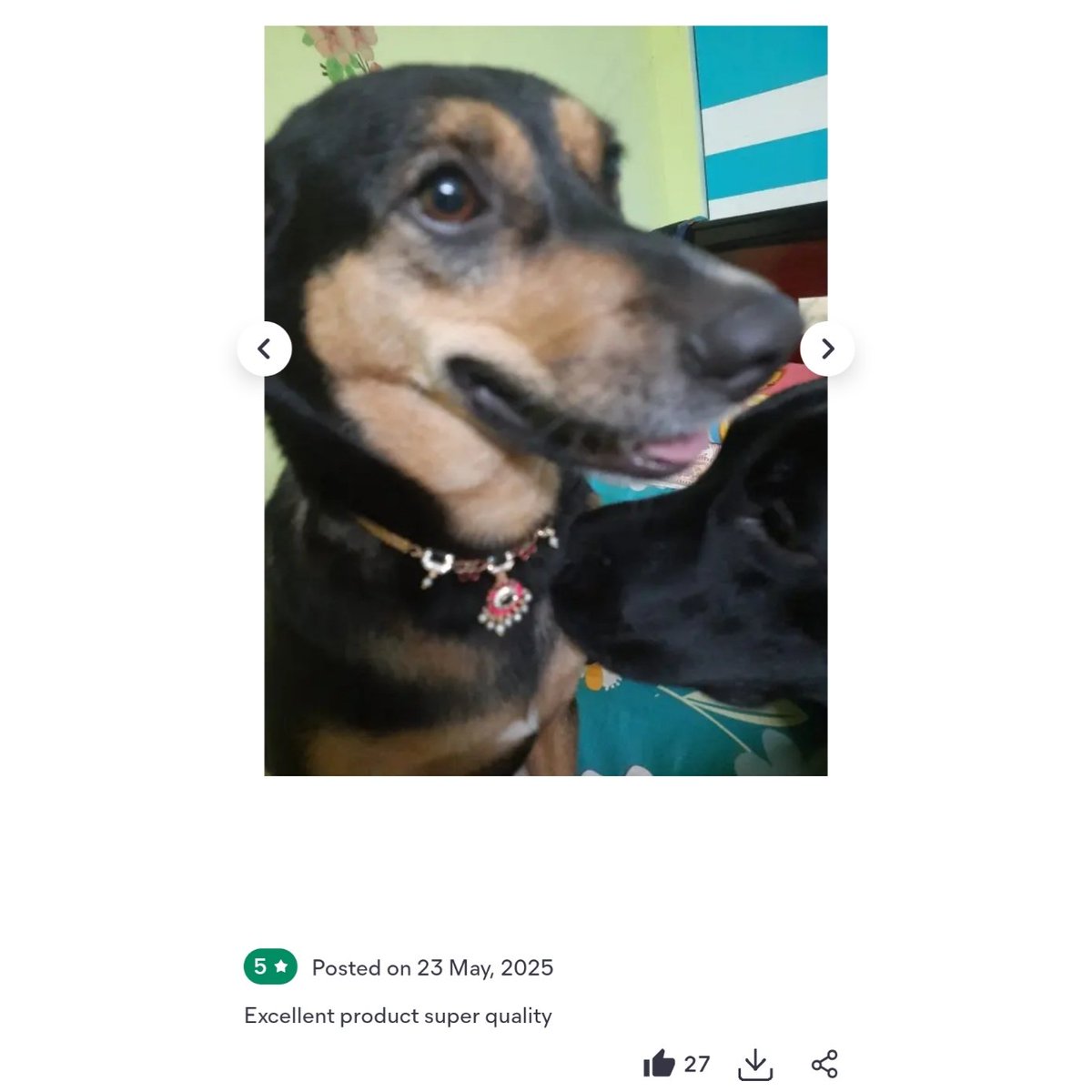 Reviews section always this wild 😭