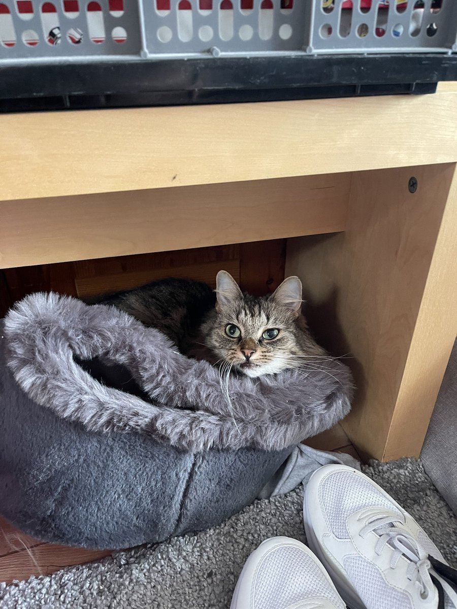 Just cause yeah 🫠❤️

Post a random pic so everything goes well in August