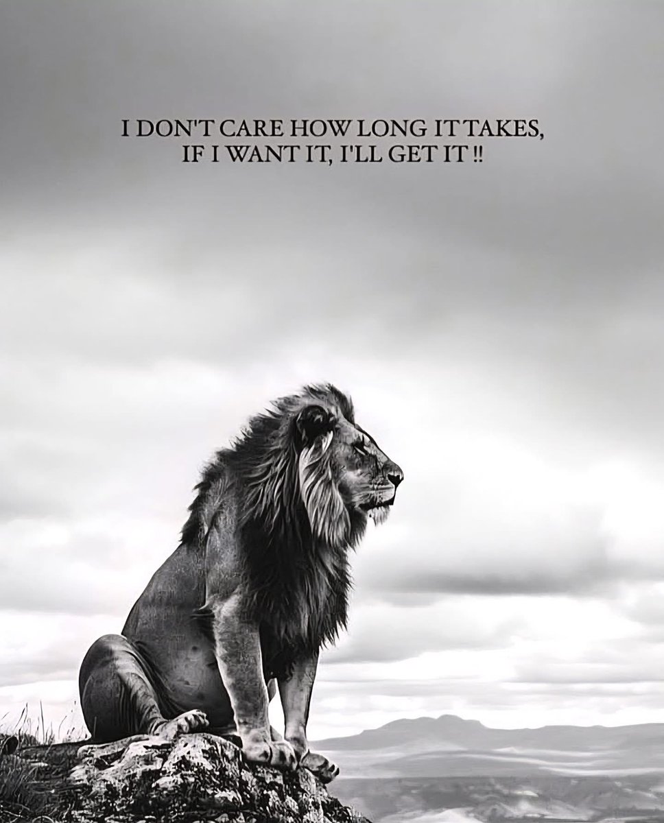 Julian Lane (@julianlanemma) on Twitter photo 