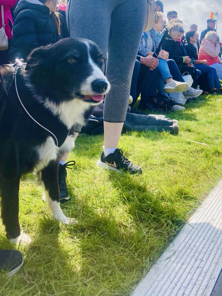 Looking forward to watching the jive competition now that I’m done with the sheep dog trials! Clonmany Agri Show. Inishowen Co Donegal #dogsoftwitter