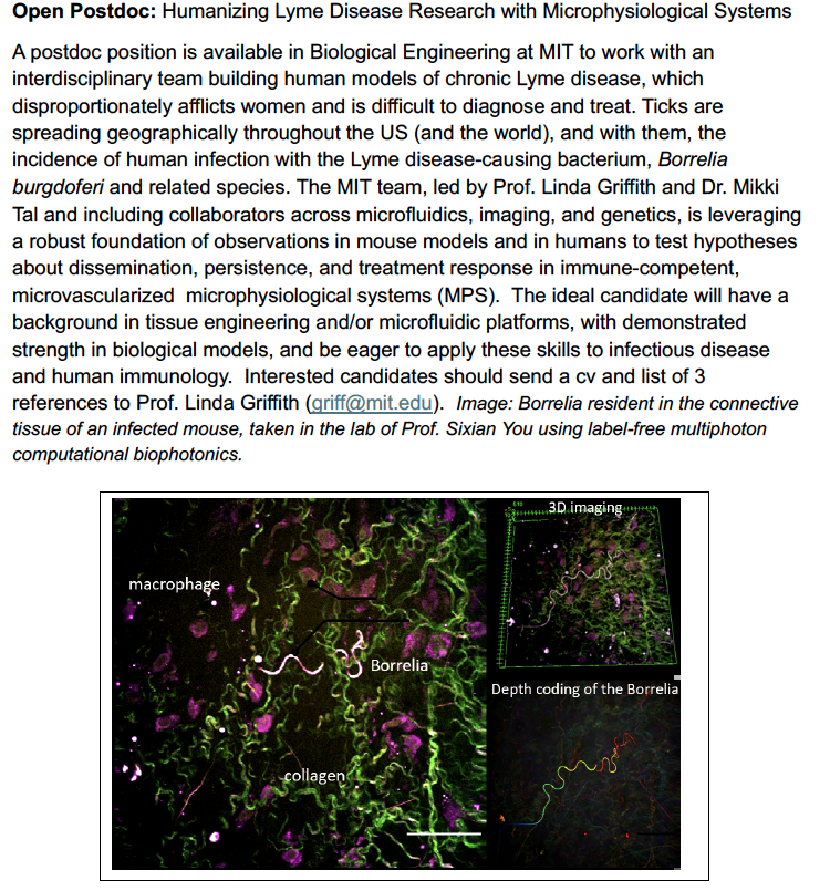 New Postdoc Position open with <a href="/ImmunoFever/">Michal Tal, PhD</a> and <a href="/DALauffenburger/">Douglas A Lauffenburger</a> with my lab - we are building humanized models of Lyme infection, ready to do a lot of immunology!
