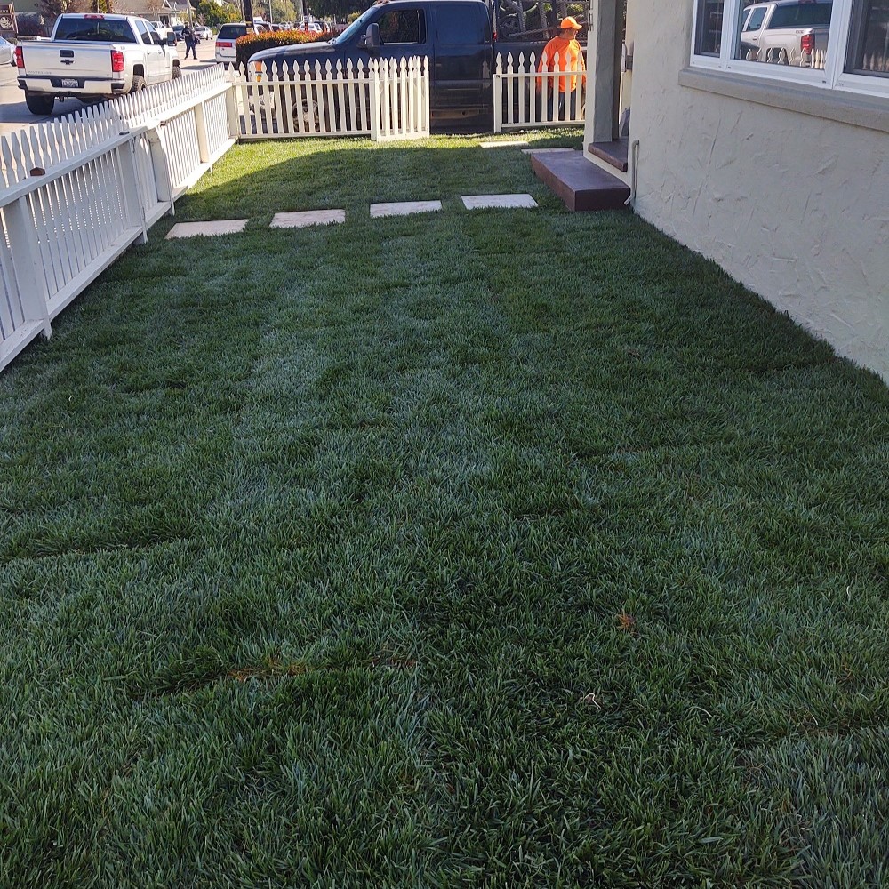 ColoresTree's tweet image. Real grass can be a hassle—turf installation keeps your lawn green with no water or upkeep. I install with care and precision. Learn more by visiting my website!
#TurfInstallation #AromasCA
treeservicesaromas.com/turf-installat…