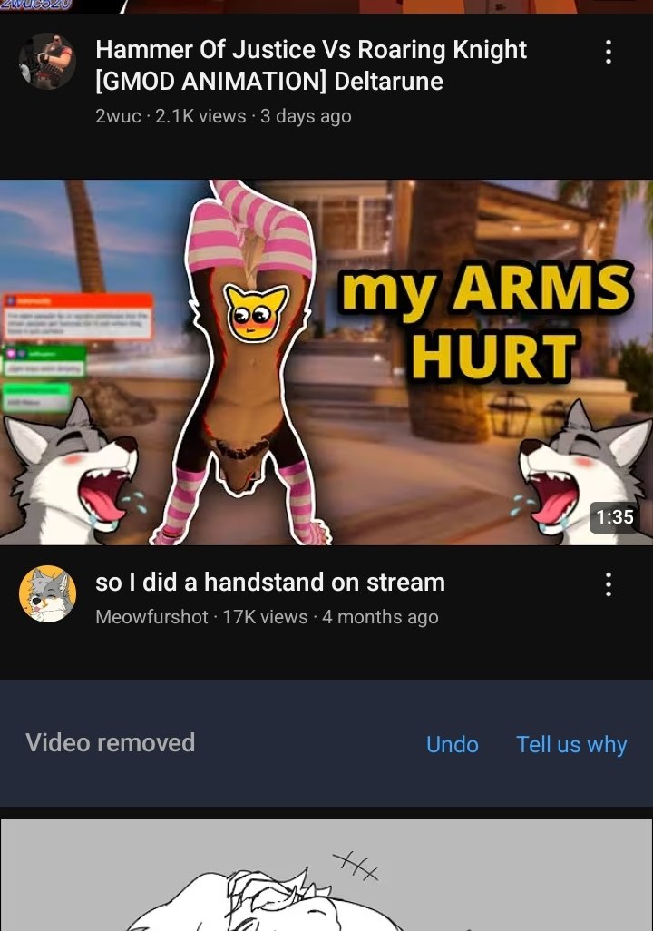 OrdinaryManner's tweet image. like. do furry streamers/youtubers even have personalities