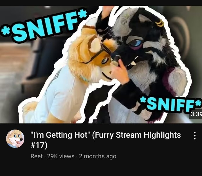 OrdinaryManner's tweet image. like. do furry streamers/youtubers even have personalities