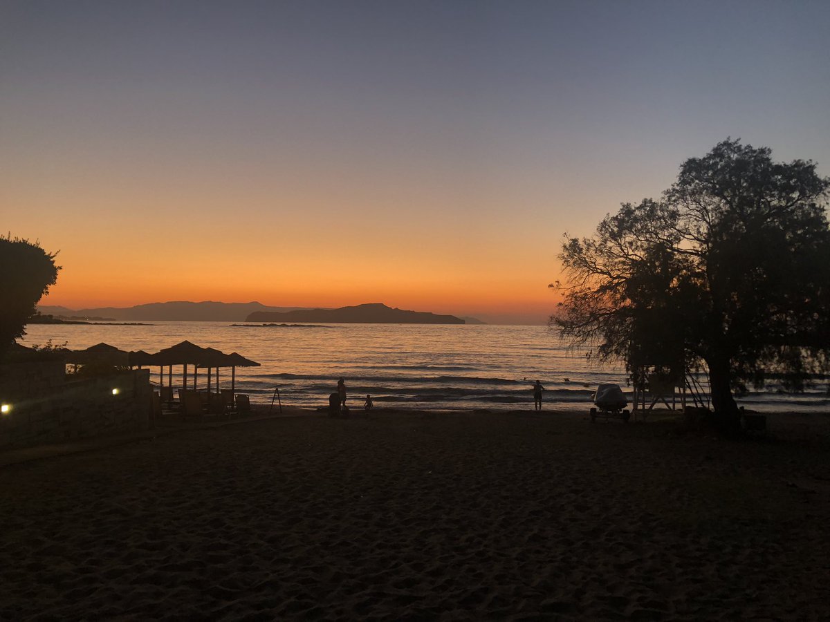 Joanna Di-Bella tweet media