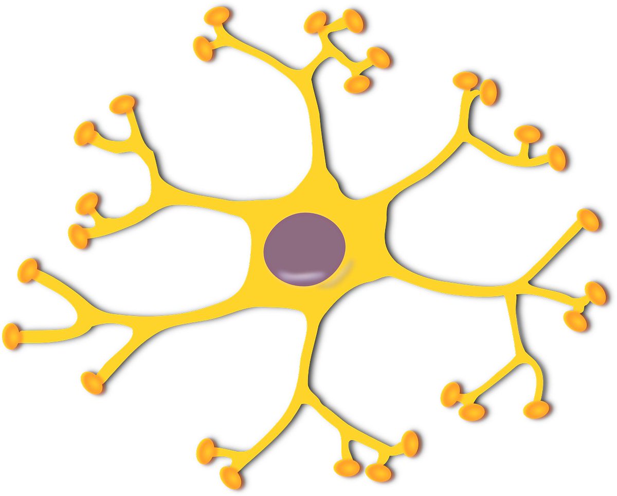 Physical Review E tweet media