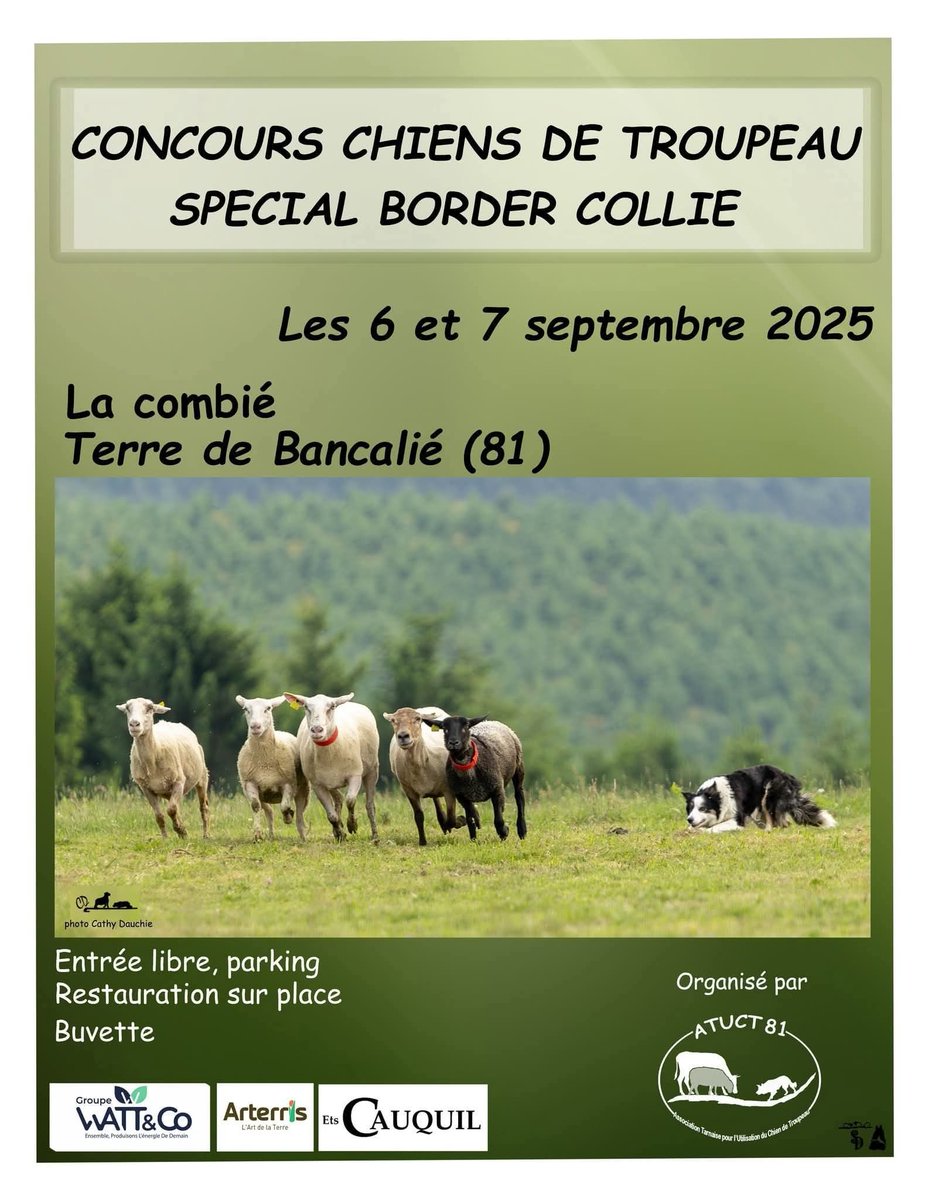 Vous voulez voir les meilleurs chiens de France ?