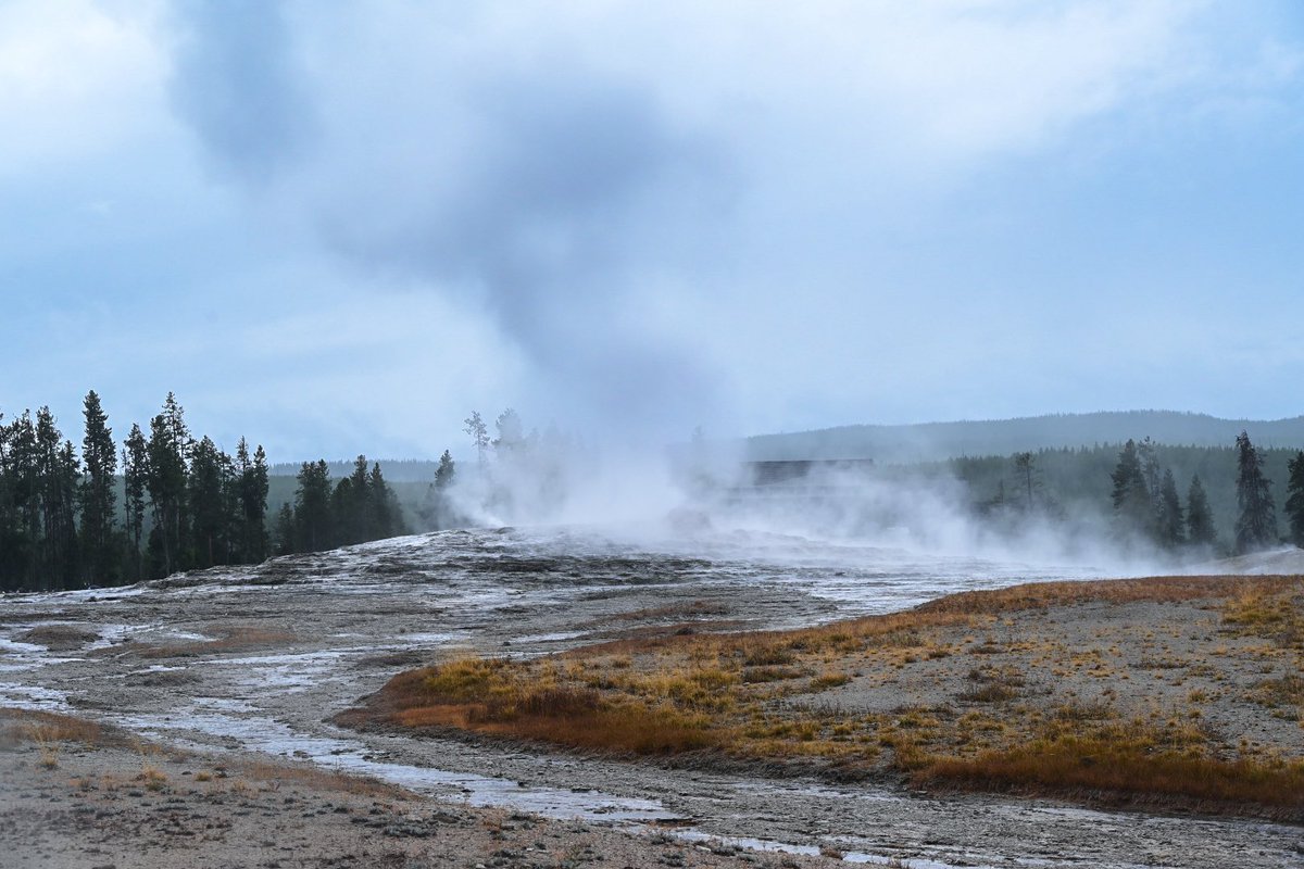 db_persoectives's tweet image. Yellowstone