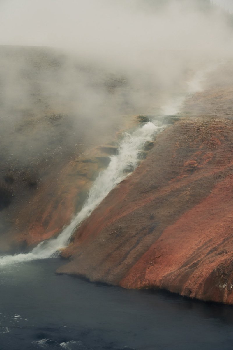 db_persoectives's tweet image. Yellowstone