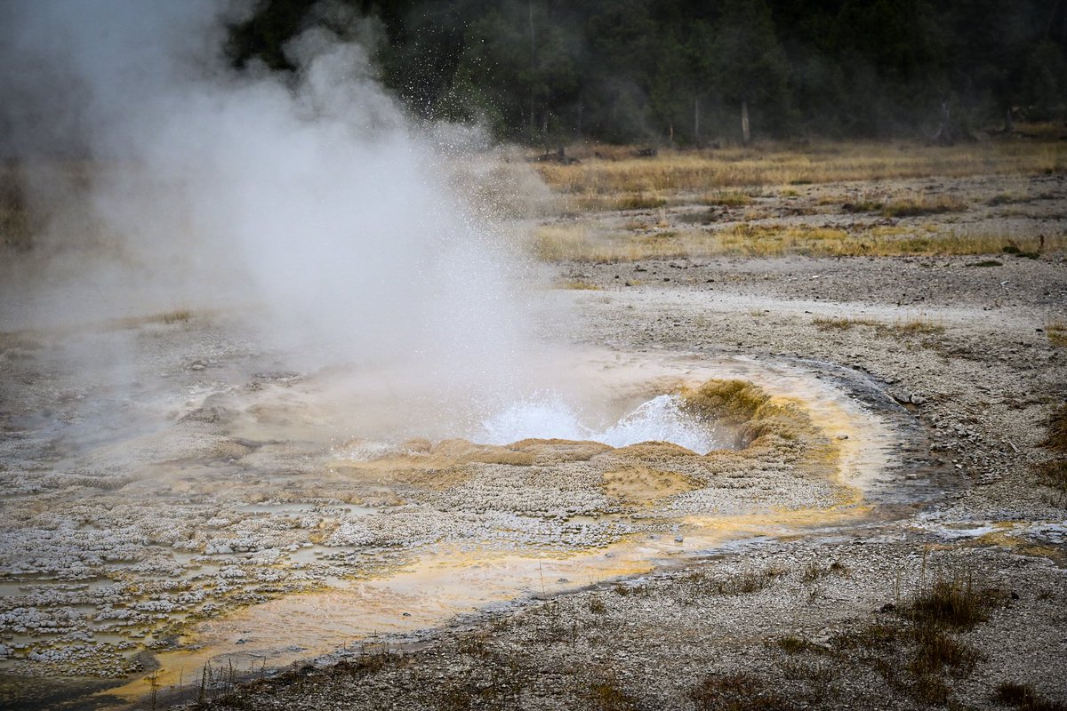 db_persoectives's tweet image. Yellowstone