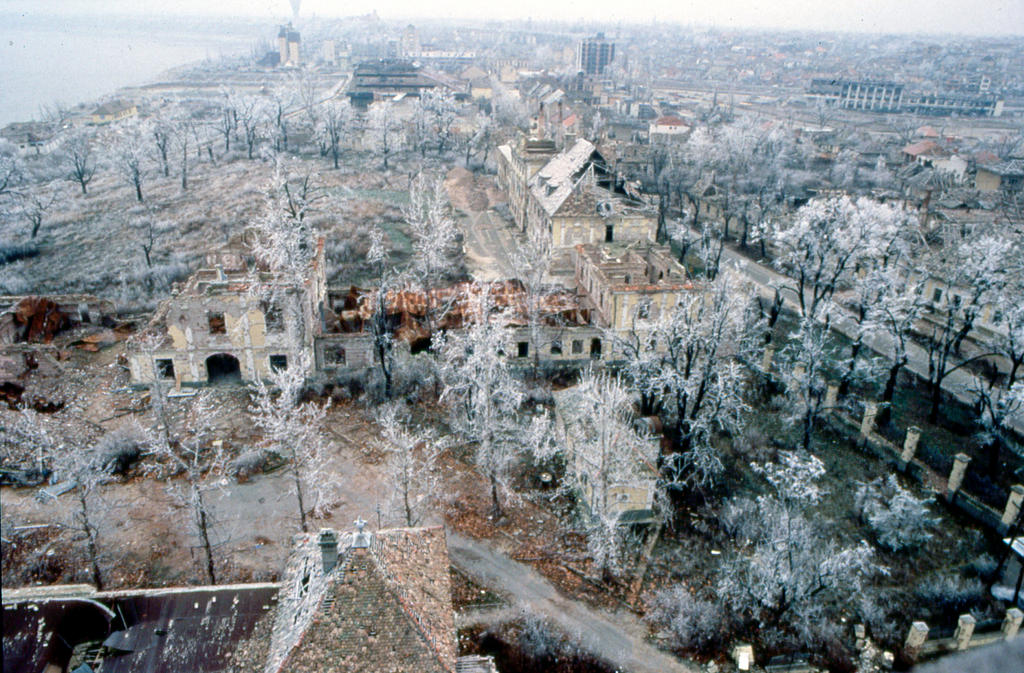 Hrvatski_Vitez 🇭🇷 tweet media