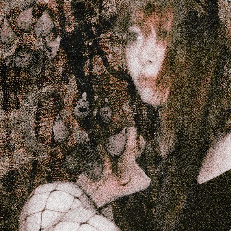 carebitten's tweet image. 