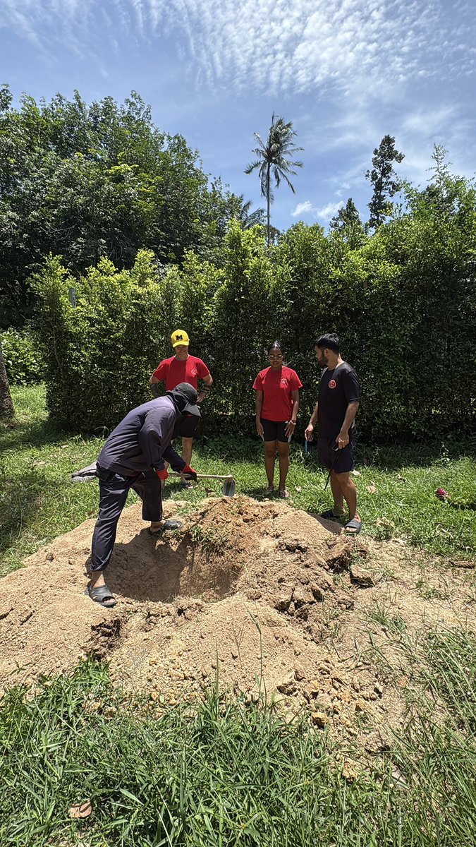 Niall Harbison tweet media