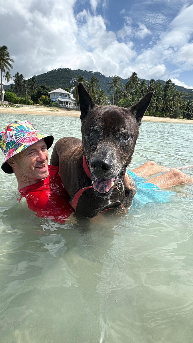 Niall Harbison tweet media