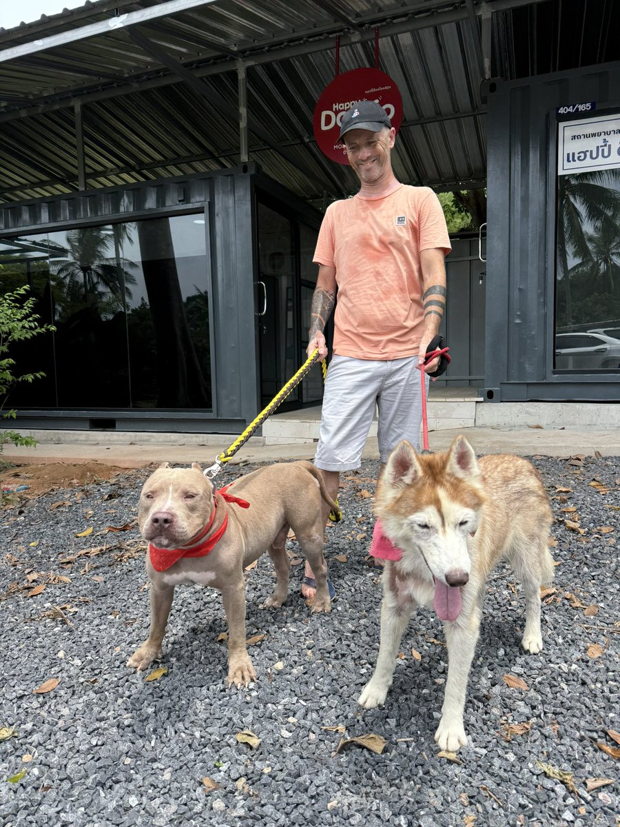 Niall Harbison tweet media