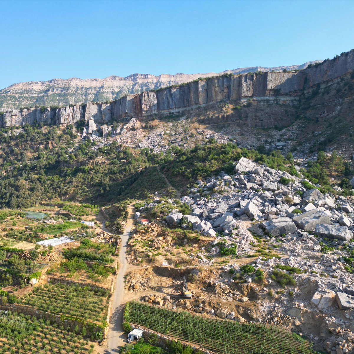 TERRE Liban tweet media