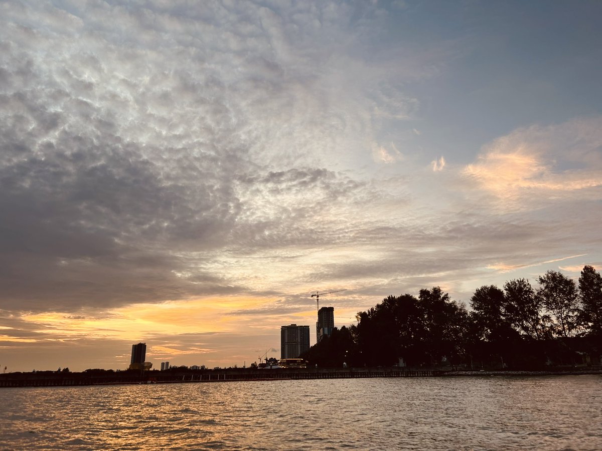 David Tian&Ellipal tweet media