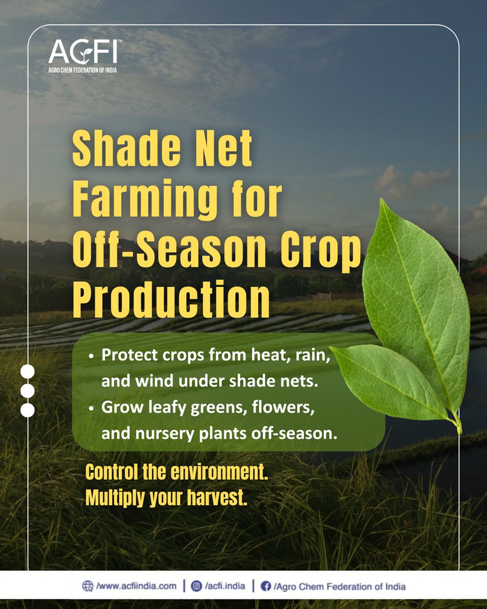 Grow more in every season with shade net farming — protect, control, and multiply your harvest.  

#ShadeNetFarming #OffSeasonFarming #GrowSmart #FarmBetter #SustainableFarming #LeafyGreens #FlowerFarming #AgriInnovation #Agrochemicals #acfiindia #ACFI #AgroChemFederation