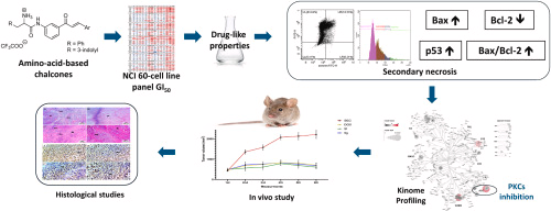 MasurierN's tweet photo. Our latest article in Eur J Med Chem, resulting from our collaboration with Prof. El Haggar from the Faculty of Pharmacy at Helwan University in Cairo, Egypt, is now available online: https://t.co/dqVWh0wHO1 https://t.co/vqQdnK5gki