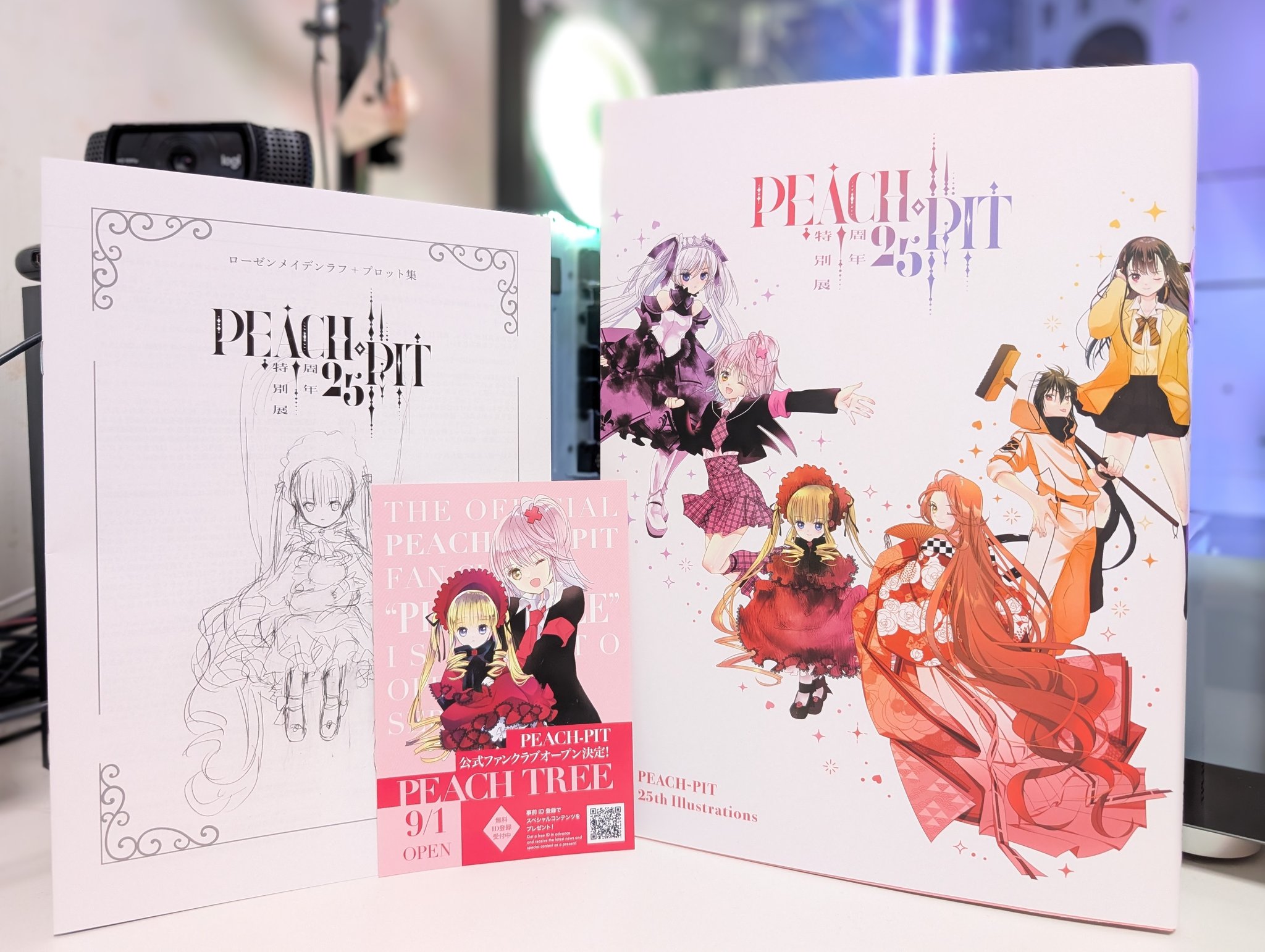275C PPPUNK新品イラスト集直筆サイン入り2019 4/30 SEoul 桜衣かこ on X: