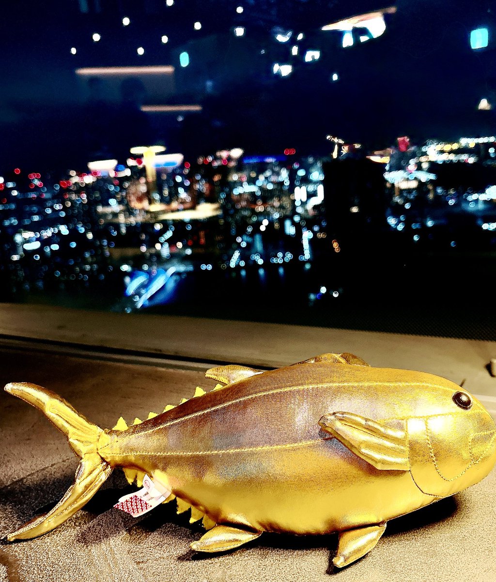 yumill85's tweet photo. 🥰 https://t.co/5y95jgq4Hf